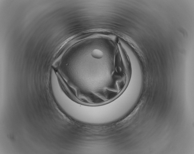 X0000113571177200910161512