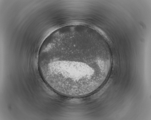 X0000113571178200910161512