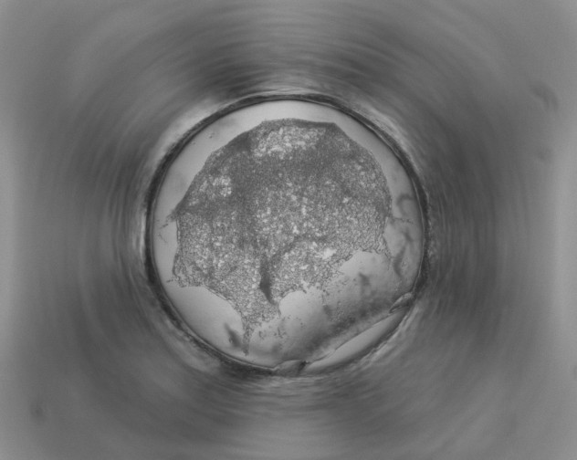 X0000113571179200910161512