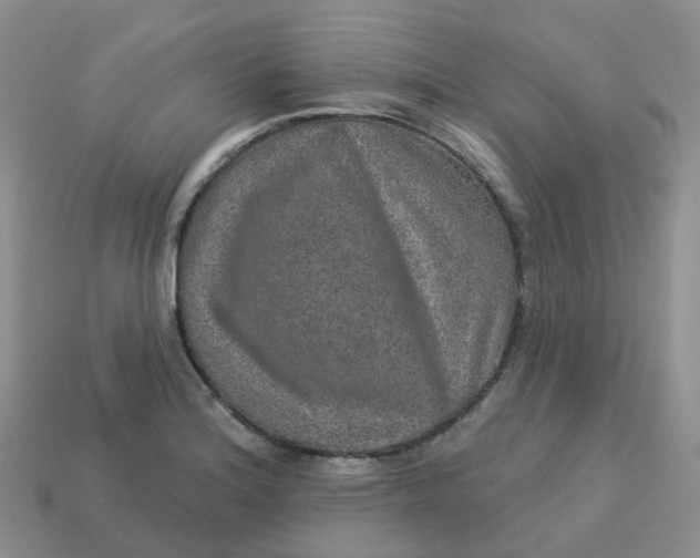 X0000113571180200910161512