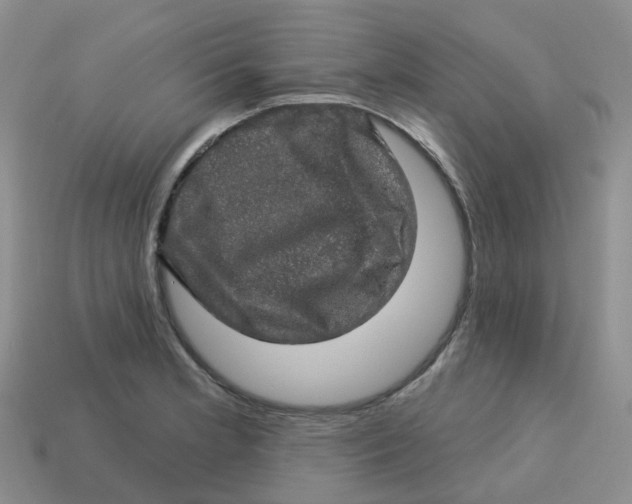 X0000113571181200910161512