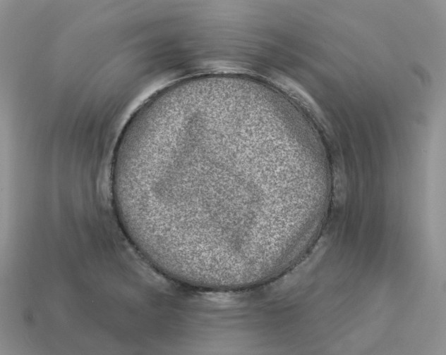 X0000113571182200910161512