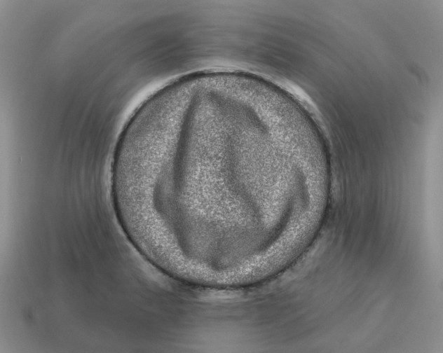 X0000113571183200910161512