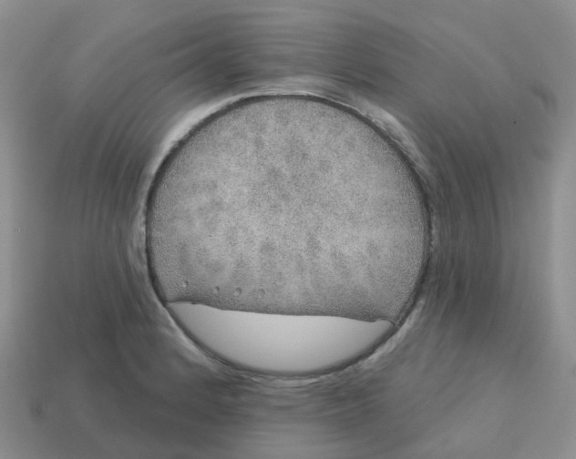 X0000113571184200910161512