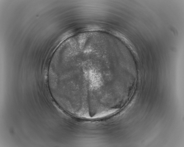 X0000113571185200910161512