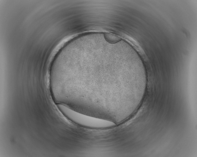 X0000113571188200910161512