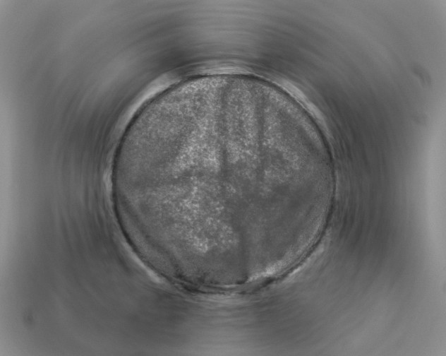 X0000113571189200910161512