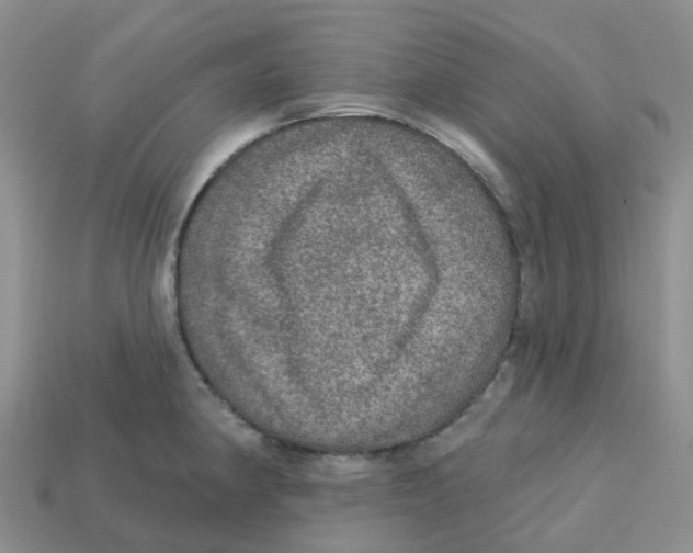 X0000113571190200910161512