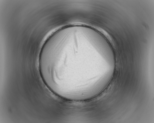 X0000113571191200910161511