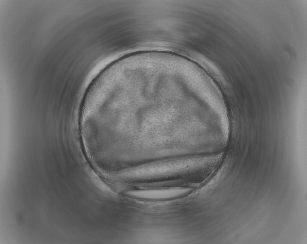 X0000113571192200910161511