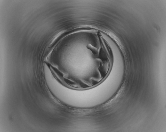 X0000113571193200910161511