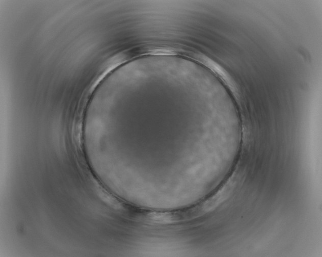 X0000113571194200910161511