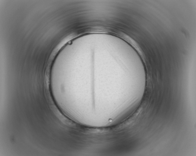 X0000113571195200910161511