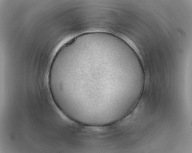 X0000113571197200910161511