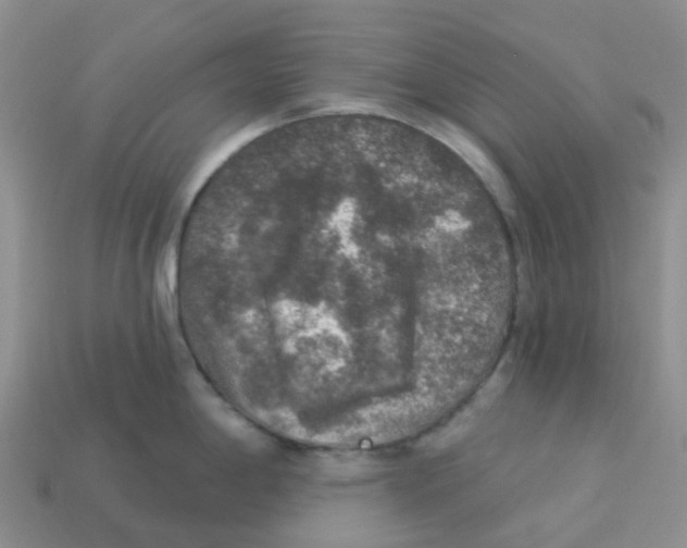 X0000113571198200910161511