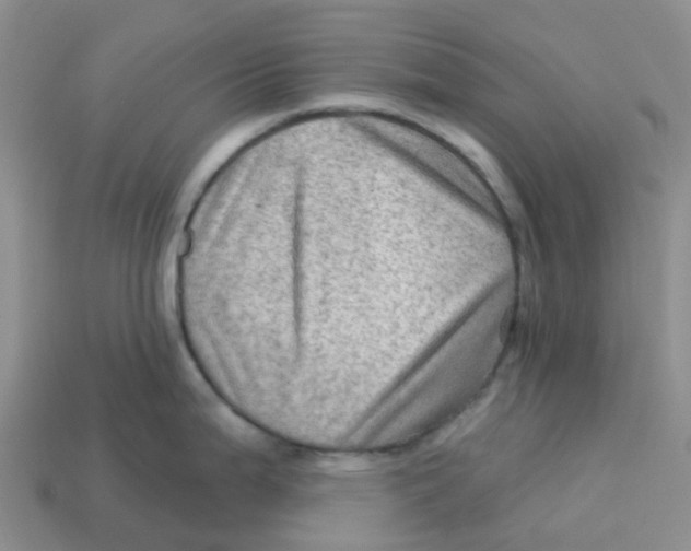 X0000113571199200910161511