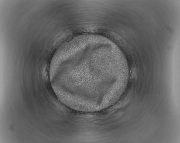 X0000113571202200910161511