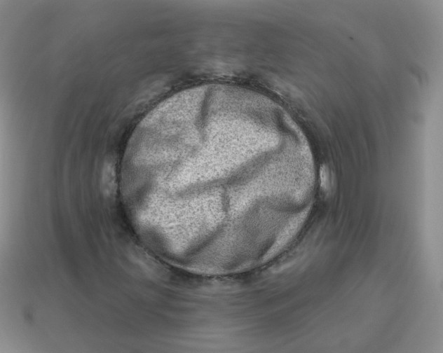 X0000113571203200910161511