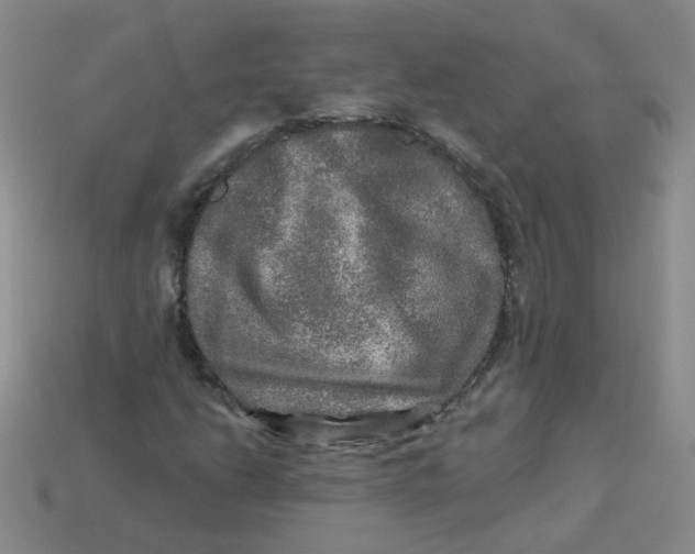 X0000113571206200910161511