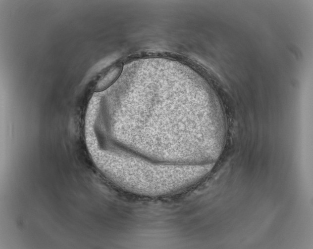 X0000113571207200910161511