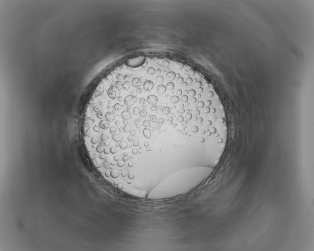 X0000113571208200910161511