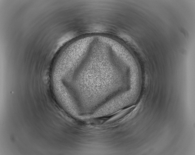 X0000113571210200910161511