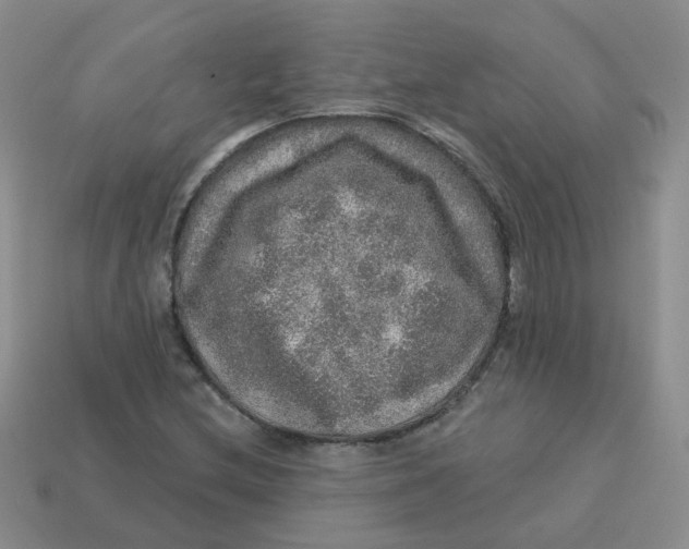 X0000113571212200910161511