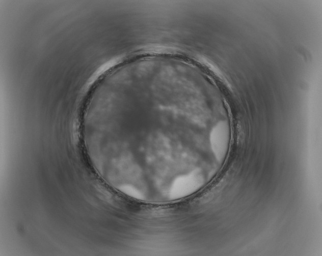 X0000113571213200910161511