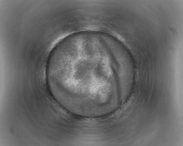 X0000113571214200910161511