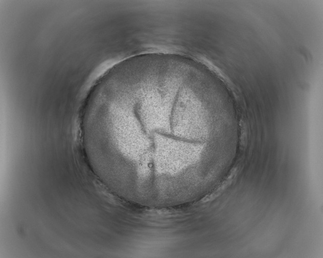 X0000113571215200910161511