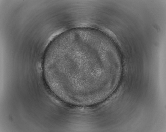 X0000113571218200910161511