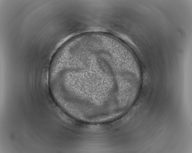 X0000113571220200910161511