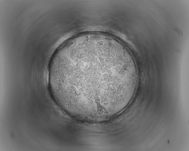 X0000113571221200910161511