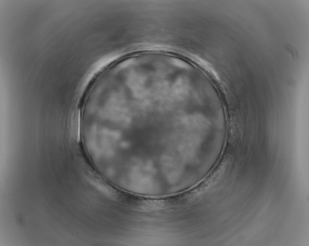 X0000113571223200910161511