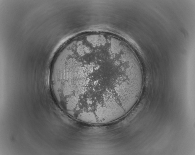 X0000113571224200910161511