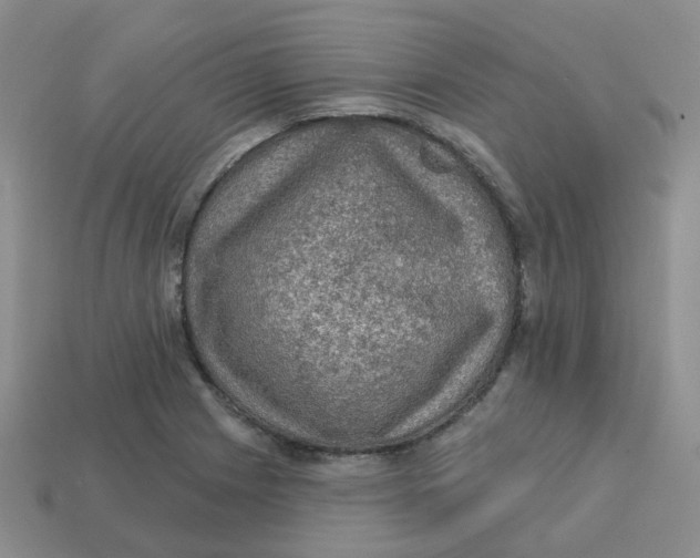 X0000113571225200910161511