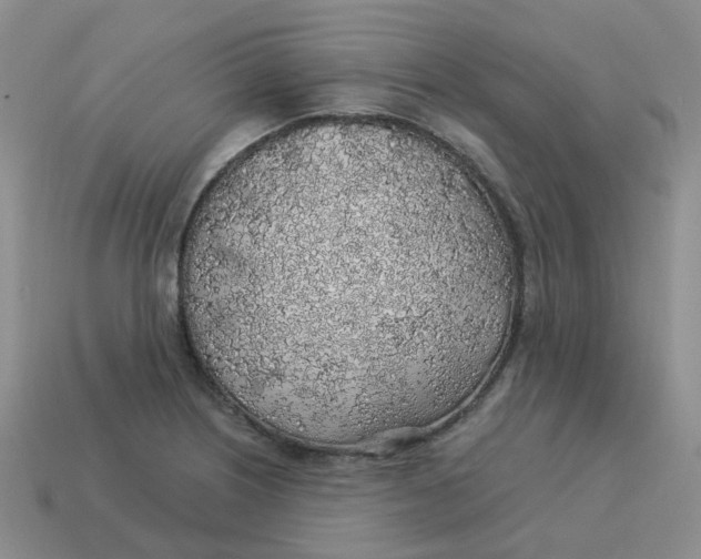 X0000113571226200910161511