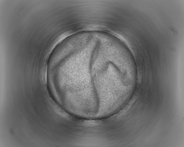 X0000113571227200910161511