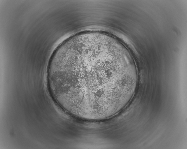 X0000113571229200910161511