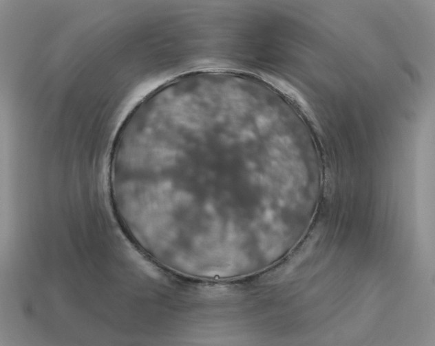 X0000113571231200910161511