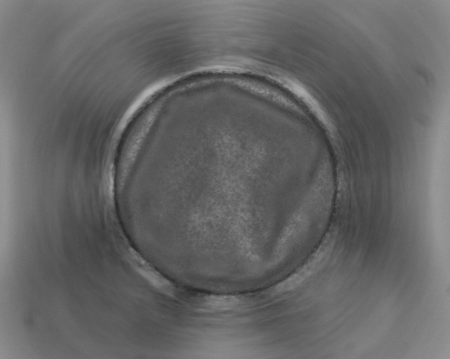 X0000113571232200910161511