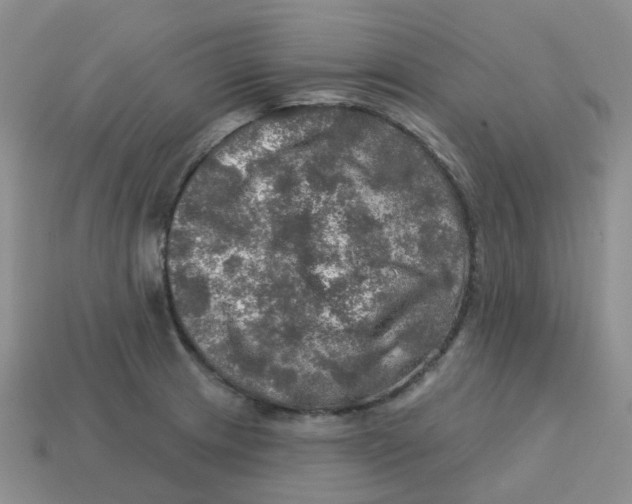 X0000113571233200910161511