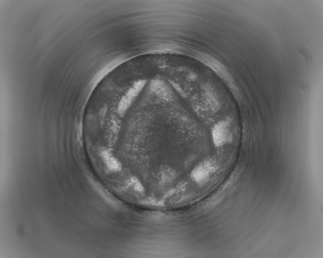 X0000113571234200910161511