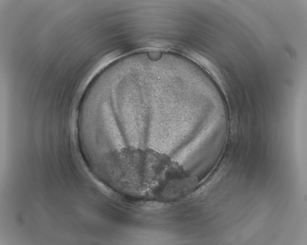 X0000113571235200910161511