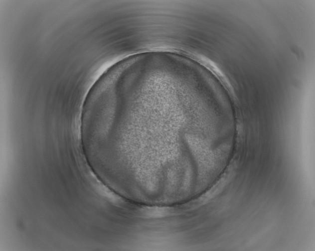 X0000113571236200910161511