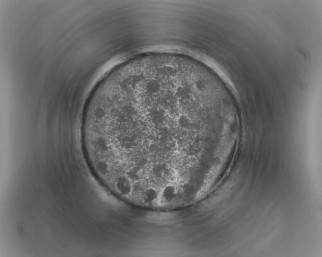 X0000113571237200910161511