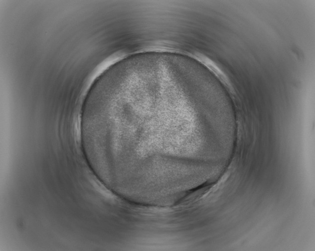 X0000113571238200910161511