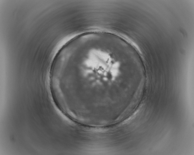 X0000113571239200910161511