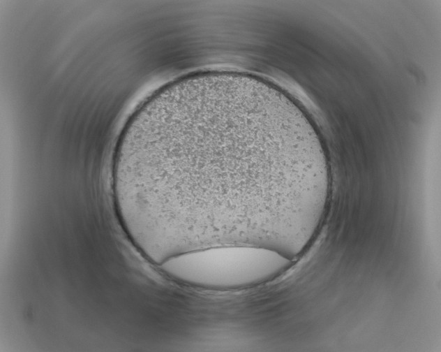 X0000113571240200910161511