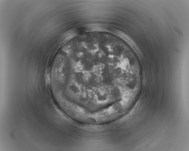 X0000113571241200910161511